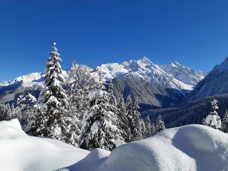 Superbe Studio Aux 7 Laux La Ferrière Zewnętrze zdjęcie