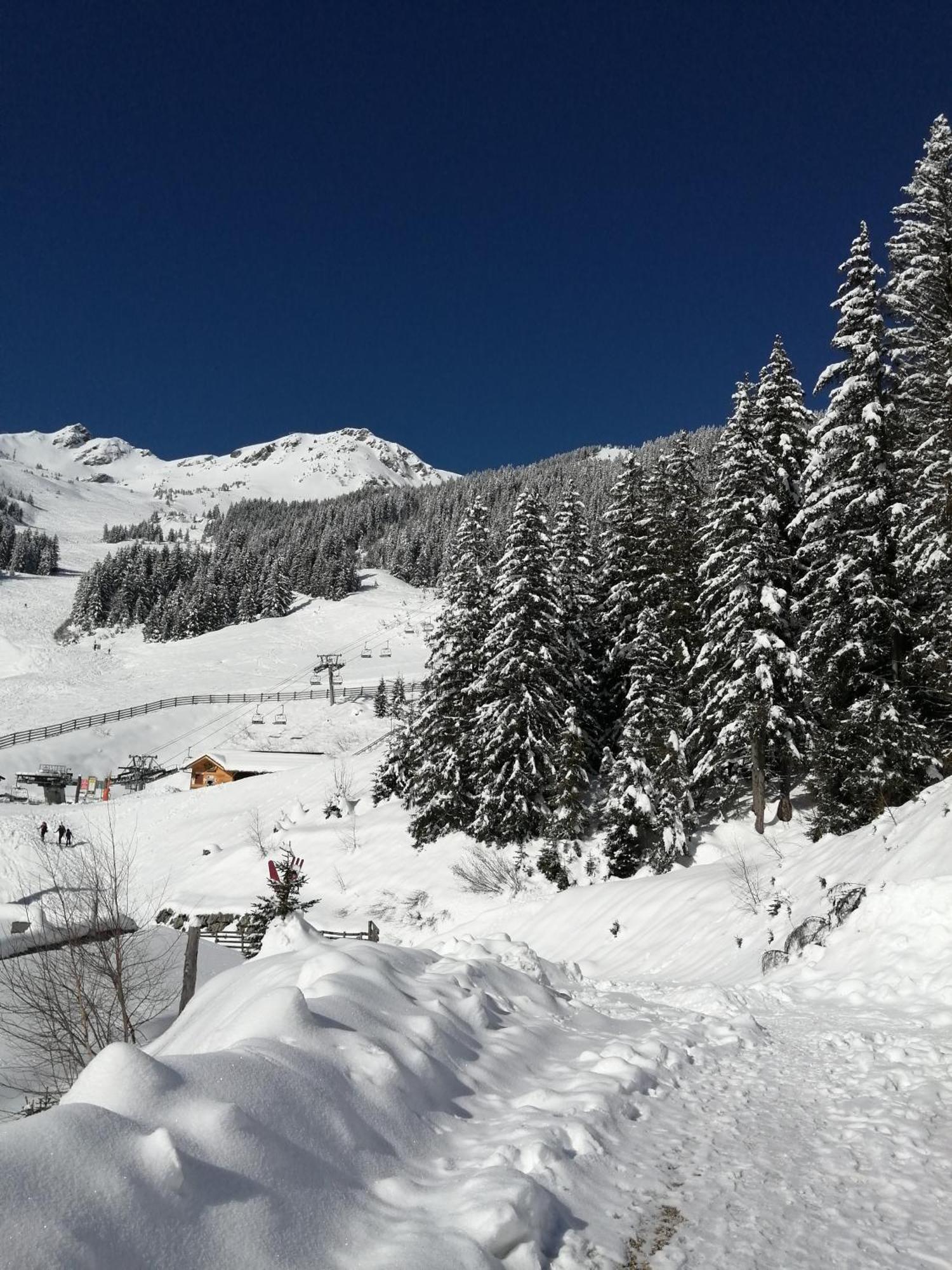 Superbe Studio Aux 7 Laux La Ferrière Zewnętrze zdjęcie