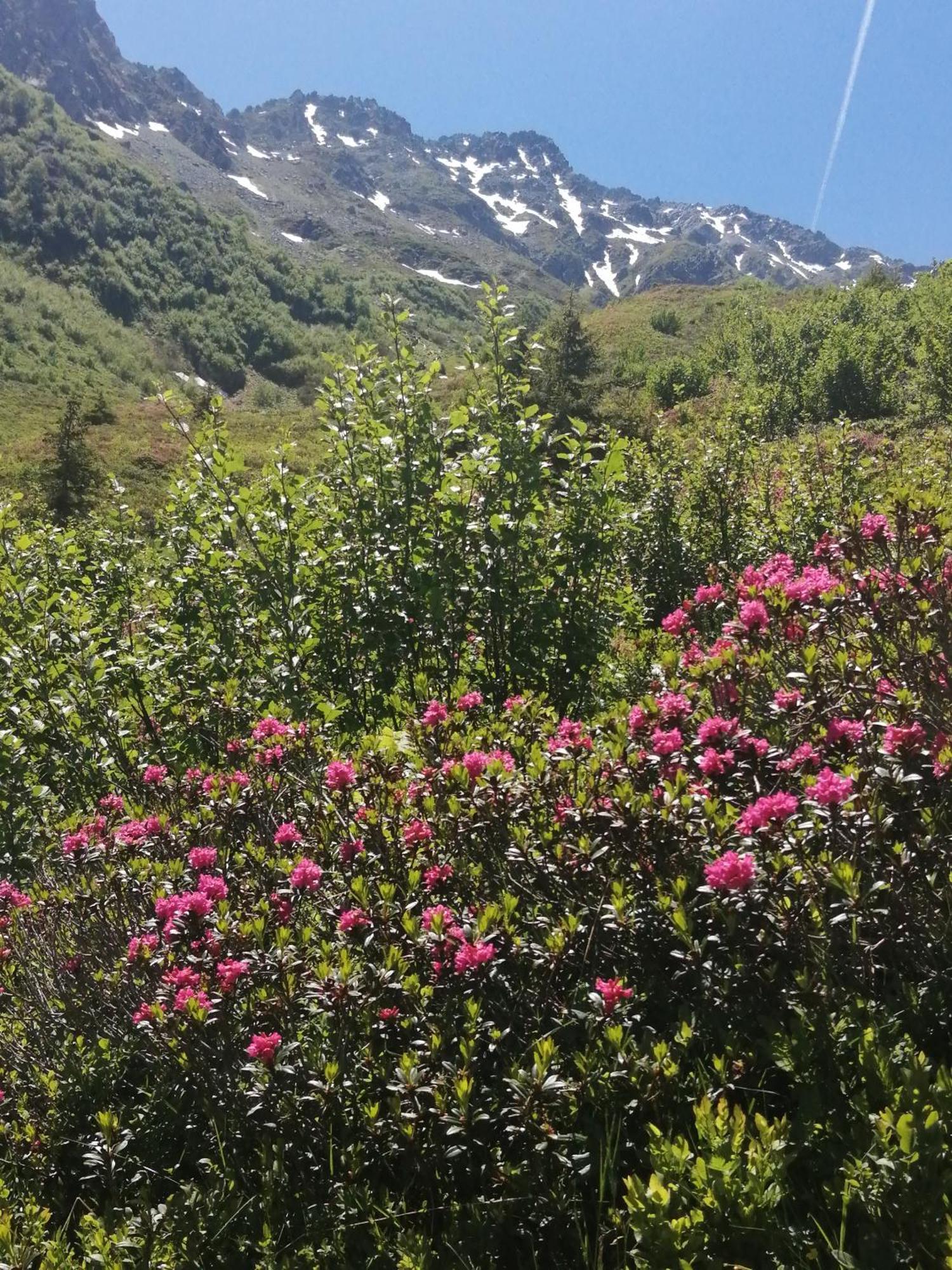 Superbe Studio Aux 7 Laux La Ferrière Zewnętrze zdjęcie